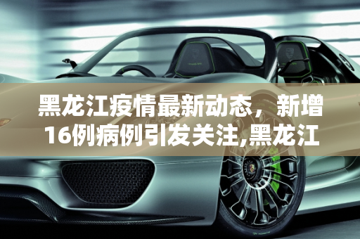 黑龙江疫情最新动态，新增16例病例引发关注,黑龙江新增16例