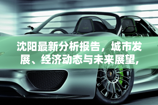 沈阳最新分析报告，城市发展、经济动态与未来展望,沈阳最新分析报告
