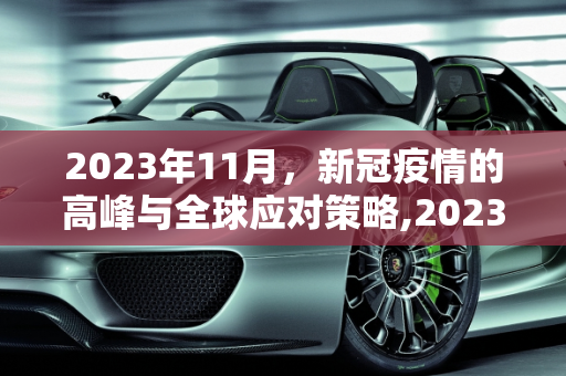 2023年11月，新冠疫情的高峰与全球应对策略,2023年11月新冠高峰