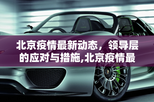 北京疫情最新动态，领导层的应对与措施,北京疫情最新领导