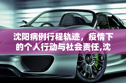 沈阳病例行程轨迹，疫情下的个人行动与社会责任,沈阳病例行程轨迹