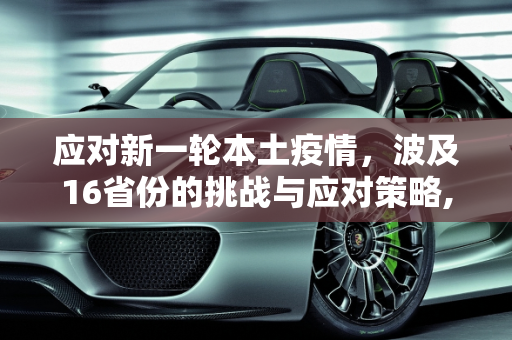 应对新一轮本土疫情，波及16省份的挑战与应对策略,新一轮本土疫情波及16省份