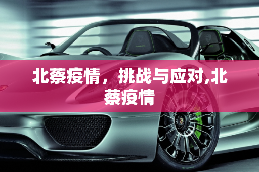北蔡疫情，挑战与应对,北蔡疫情