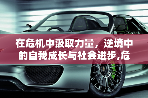 在危机中汲取力量，逆境中的自我成长与社会进步,危机中汲取力量