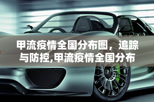 甲流疫情全国分布图，追踪与防控,甲流疫情全国分布图
