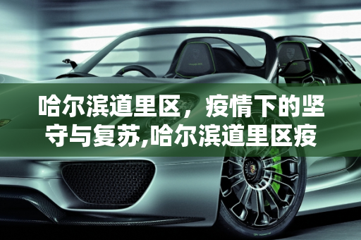 哈尔滨道里区，疫情下的坚守与复苏,哈尔滨道里区疫情