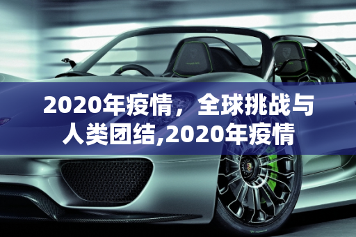 2020年疫情，全球挑战与人类团结,2020年疫情