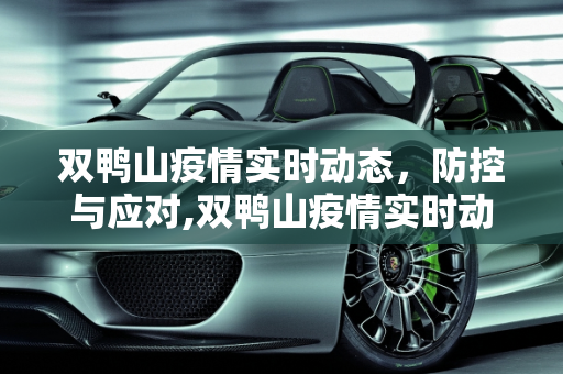 双鸭山疫情实时动态，防控与应对,双鸭山疫情实时动态