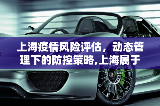 上海疫情风险评估，动态管理下的防控策略,上海属于疫情什么风险地区