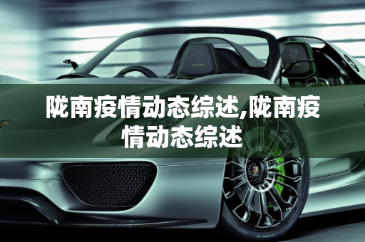 陇南疫情动态综述,陇南疫情动态综述