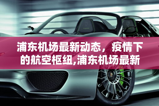 浦东机场最新动态，疫情下的航空枢纽,浦东机场最新动疫情