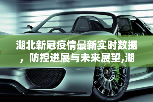 湖北新冠疫情最新实时数据，防控进展与未来展望,湖北新冠疫情最新实时数据