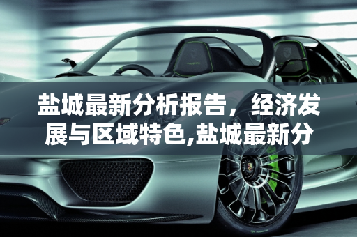 盐城最新分析报告，经济发展与区域特色,盐城最新分析报告