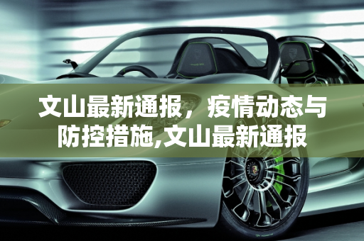 文山最新通报，疫情动态与防控措施,文山最新通报