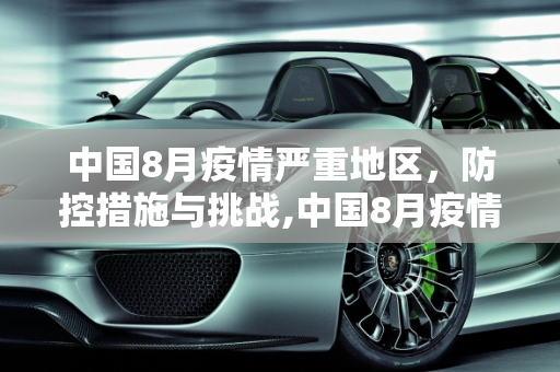 中国8月疫情严重地区，防控措施与挑战,中国8月疫情严重地区