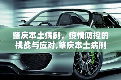 肇庆本土病例，疫情防控的挑战与应对,肇庆本土病例