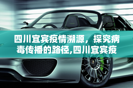 四川宜宾疫情溯源，探究病毒传播的路径,四川宜宾疫情是如何发生的？