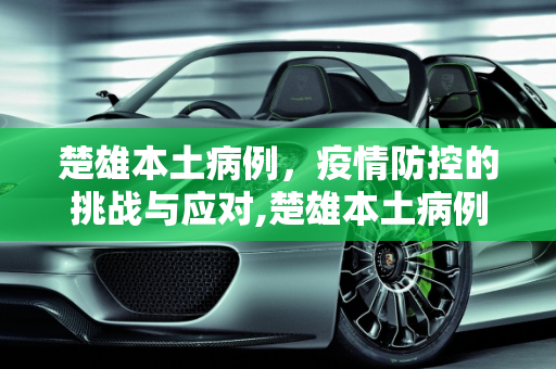 楚雄本土病例，疫情防控的挑战与应对,楚雄本土病例