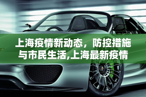 上海疫情新动态，防控措施与市民生活,上海最新疫情琳