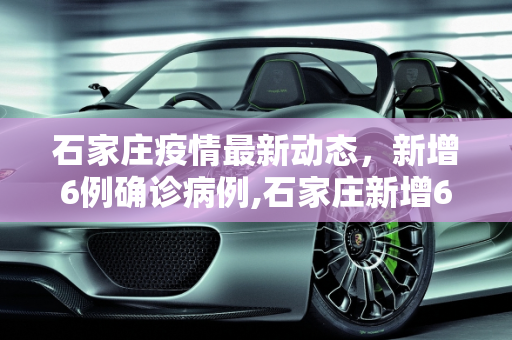 石家庄疫情最新动态，新增6例确诊病例,石家庄新增6例确诊