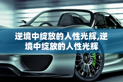 逆境中绽放的人性光辉,逆境中绽放的人性光辉