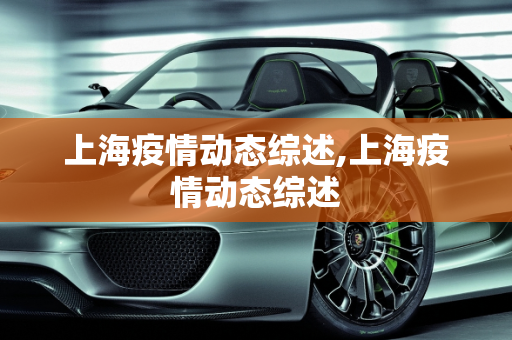 上海疫情动态综述,上海疫情动态综述