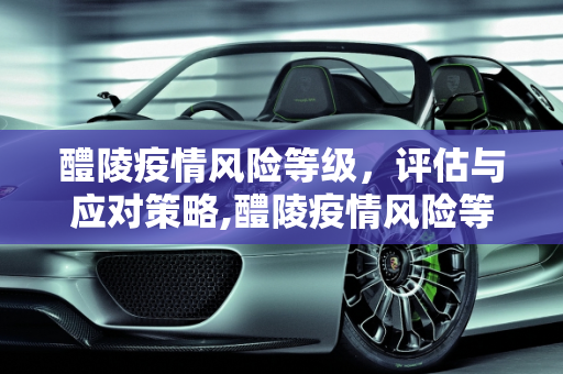 醴陵疫情风险等级，评估与应对策略,醴陵疫情风险等级