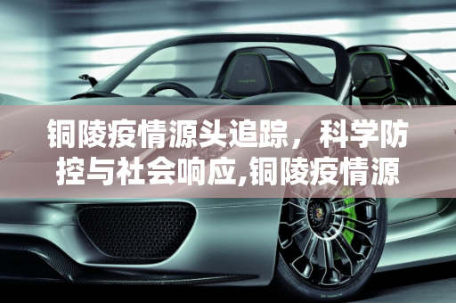 铜陵疫情源头追踪，科学防控与社会响应,铜陵疫情源头