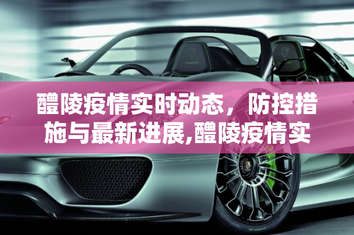 醴陵疫情实时动态，防控措施与最新进展,醴陵疫情实时动态