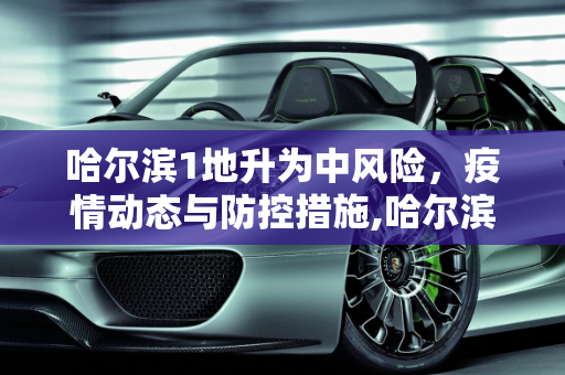 哈尔滨1地升为中风险，疫情动态与防控措施,哈尔滨1地升为中风险