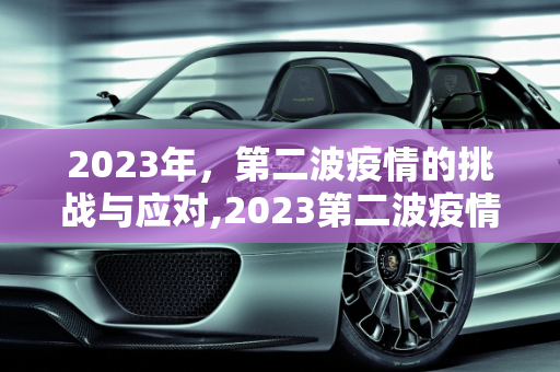 2023年，第二波疫情的挑战与应对,2023第二波疫情已经到来