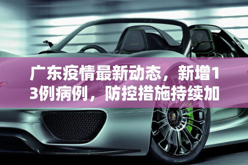 广东疫情最新动态，新增13例病例，防控措施持续加强,广东新增13例