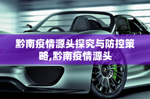 黔南疫情源头探究与防控策略,黔南疫情源头