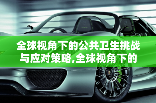 全球视角下的公共卫生挑战与应对策略,全球视角下的公共卫生挑战与应对策略