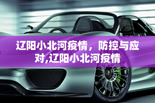 辽阳小北河疫情，防控与应对,辽阳小北河疫情