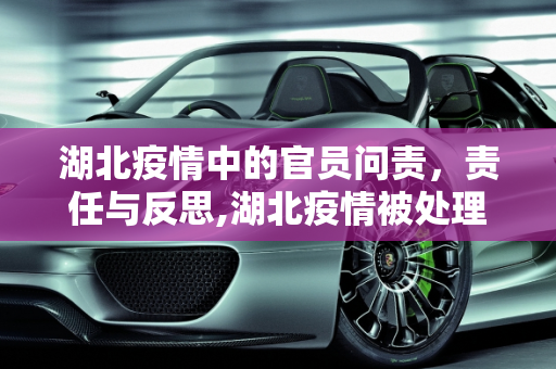 湖北疫情中的官员问责，责任与反思,湖北疫情被处理官员名单