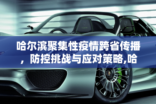 哈尔滨聚集性疫情跨省传播，防控挑战与应对策略,哈尔滨聚集性疫情出现跨省传播