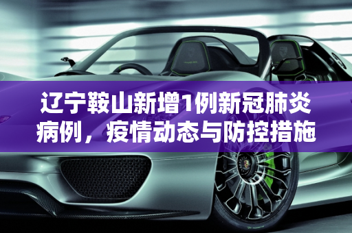 辽宁鞍山新增1例新冠肺炎病例，疫情动态与防控措施,辽宁鞍山新增1例的简单介绍