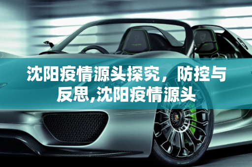 沈阳疫情源头探究，防控与反思,沈阳疫情源头