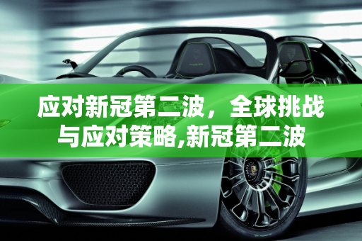 应对新冠第二波，全球挑战与应对策略,新冠第二波