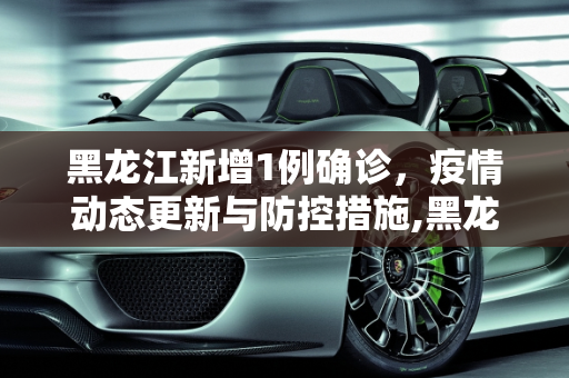 黑龙江新增1例确诊，疫情动态更新与防控措施,黑龙江新增1例确诊