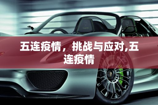 五连疫情，挑战与应对,五连疫情