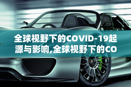 全球视野下的COVID-19起源与影响,全球视野下的COVID19起源与影响