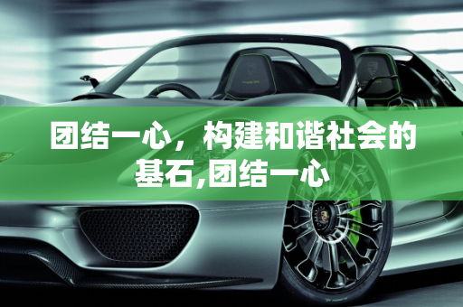 团结一心，构建和谐社会的基石,团结一心