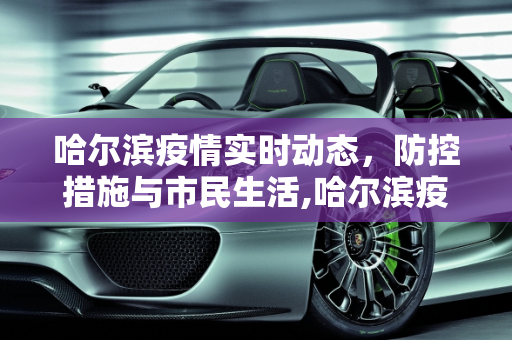 哈尔滨疫情实时动态，防控措施与市民生活,哈尔滨疫情实时动态