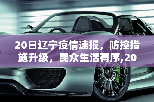 20日辽宁疫情速报，防控措施升级，民众生活有序,20日辽宁疫情速报