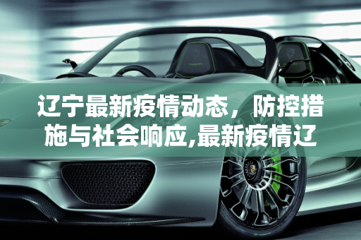 辽宁最新疫情动态，防控措施与社会响应,最新疫情辽宁