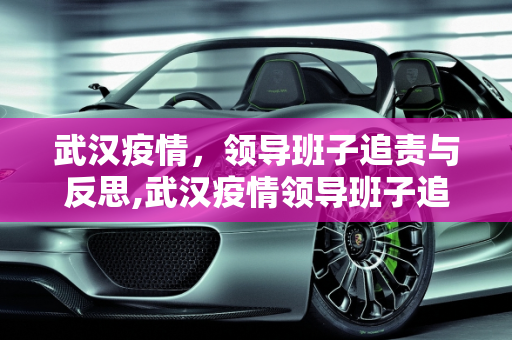 武汉疫情，领导班子追责与反思,武汉疫情领导班子追责