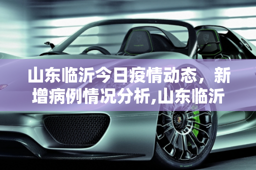 山东临沂今日疫情动态，新增病例情况分析,山东临沂今天新增病例