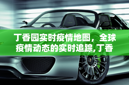 丁香园实时疫情地图，全球疫情动态的实时追踪,丁香园实时疫情地图